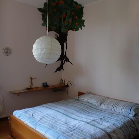 B&B Verde Sul Mare 아렌자노 외부 사진